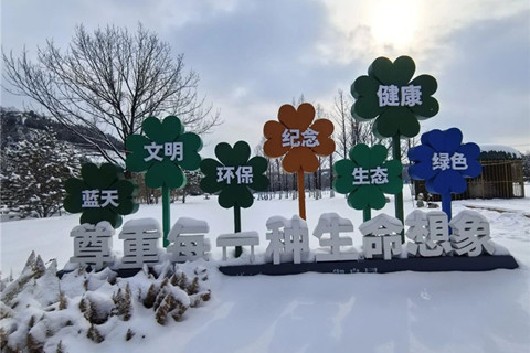 郑州市御泉森林陵园全员清雪保障祭扫之路畅通