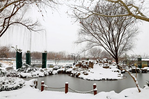 雪落福寿园,守护暖人心