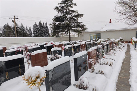 北邙陵园清明特惠行动,50套特价墓先到先得