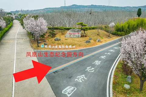 2026洛阳凤凰山生态纪念园清明祭扫出行指南