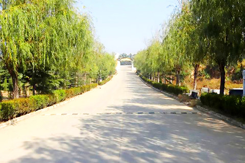 郑州邙山陵园2026年各葬式价格表最新