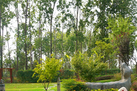 郑州市十区城乡居民免收6项殡葬基本服务费