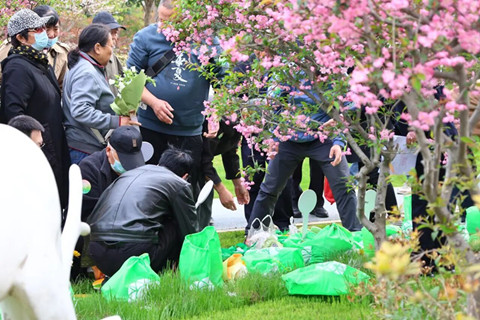 河南福寿园连续十九年举办公益生态葬,累计为2808位逝者铺就绿色归途